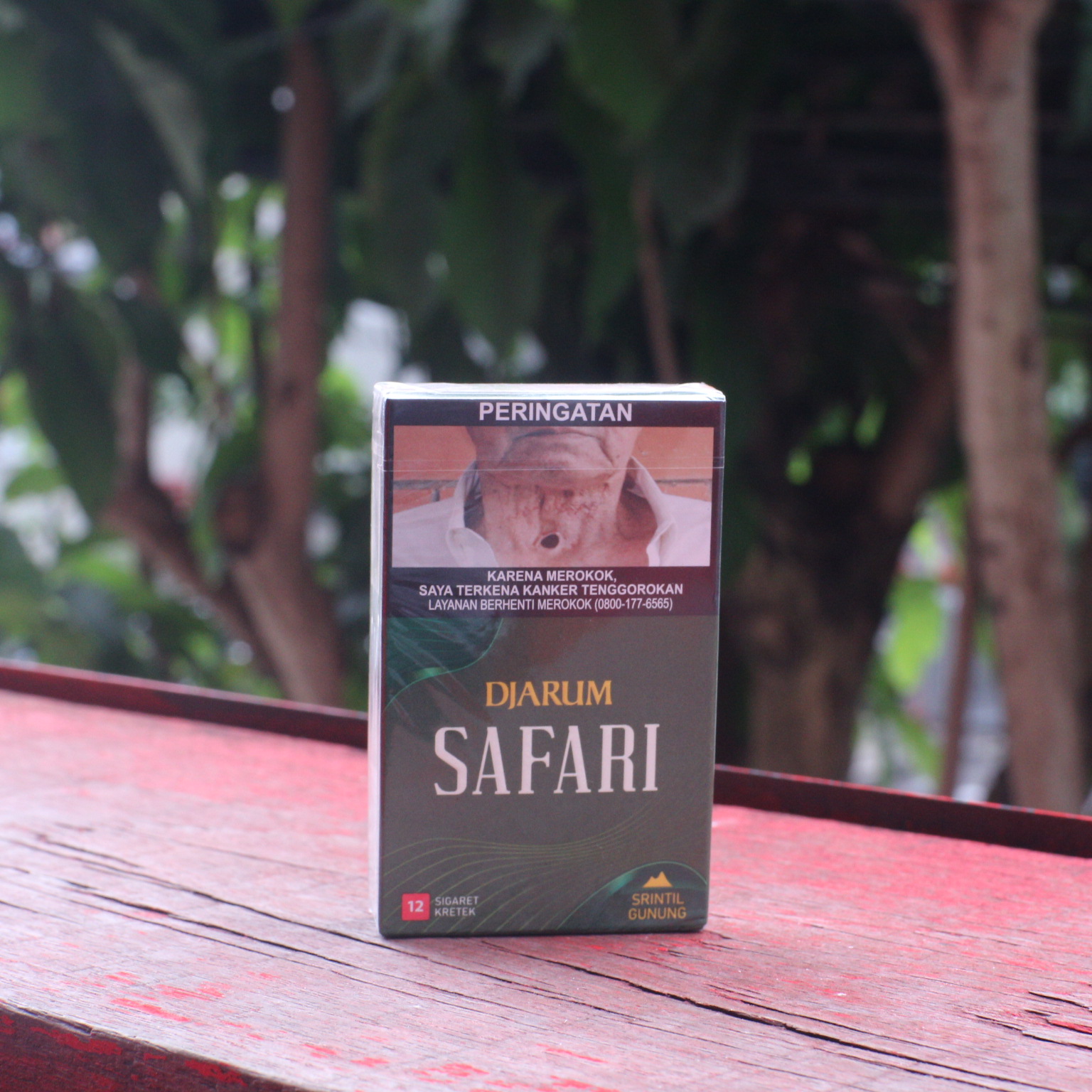 DJARUM SAFARI