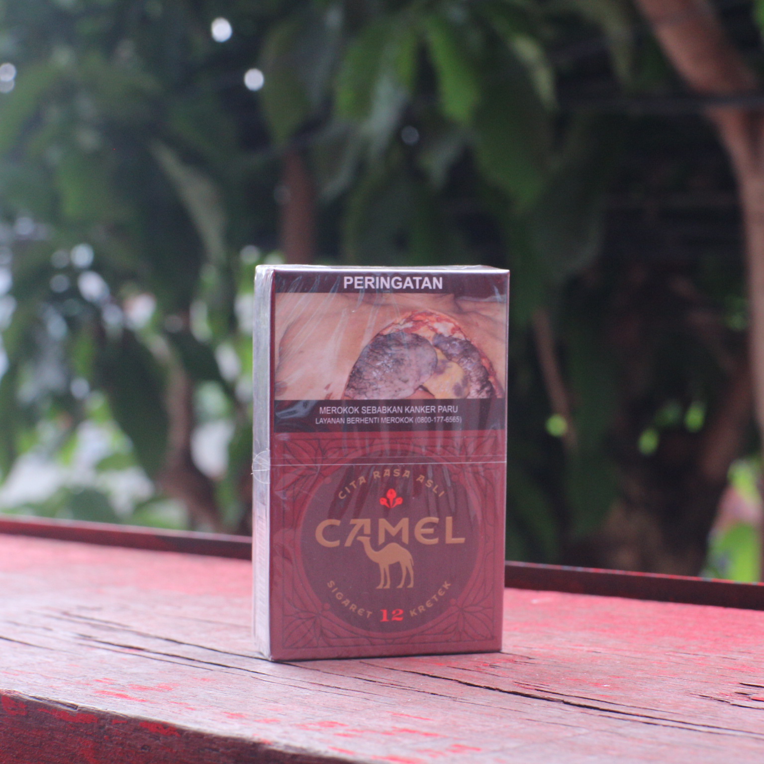 CAMEL 12 Kretek