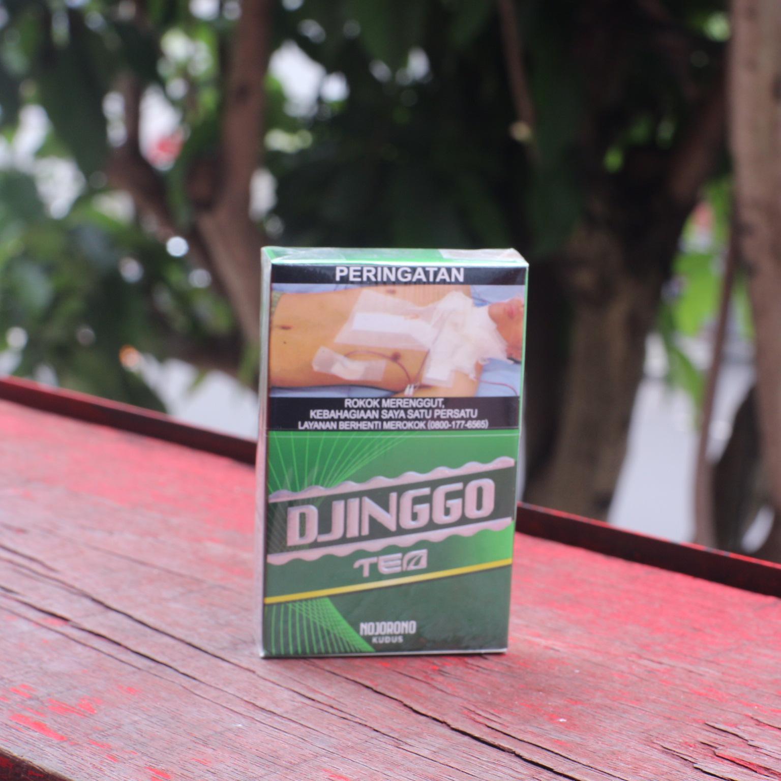 DJINGGO TEA 12 batang